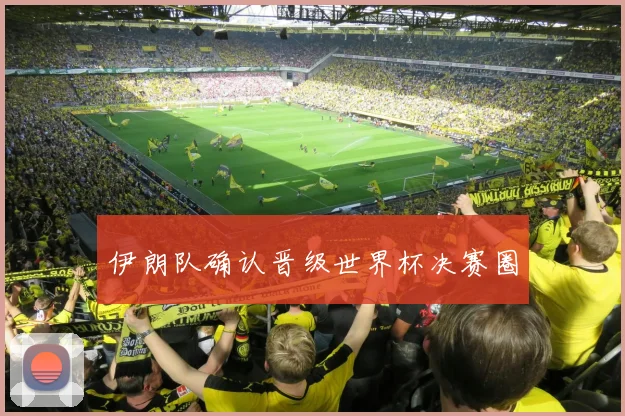 伊朗队确认晋级世界杯决赛圈