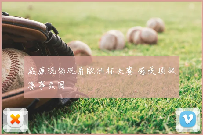 威廉现场观看欧洲杯决赛 感受顶级赛事氛围
